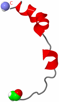 Image NMR Structure - model 1