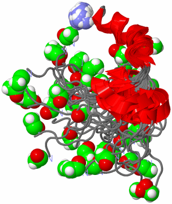 Image NMR Structure - all models