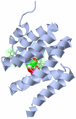 Image NMR Structure - model 1