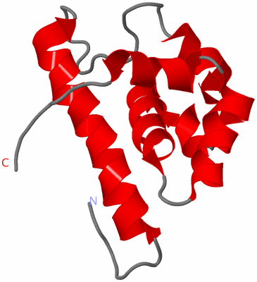 Image NMR Structure - model 1