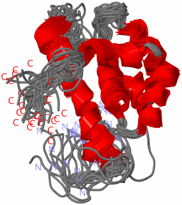 Image NMR Structure - all models