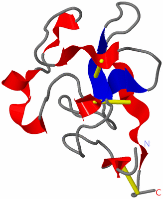 Image NMR Structure - model 1