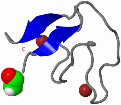 Image NMR Structure - model 1