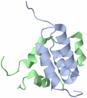 Image NMR Structure - model 1