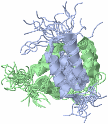 Image NMR Structure - all models