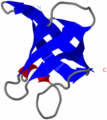 Image NMR Structure - model 1