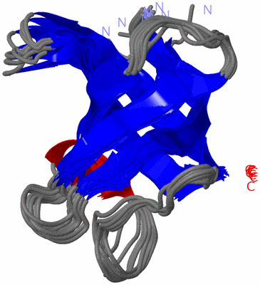 Image NMR Structure - all models