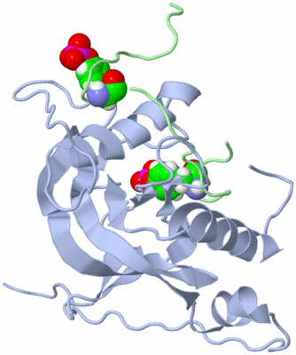 Image NMR Structure - model 1