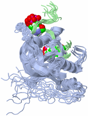 Image NMR Structure - all models