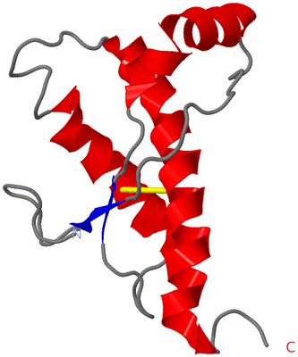 Image NMR Structure - model 1