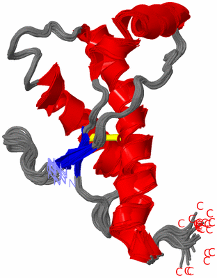 Image NMR Structure - all models