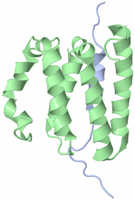 Image NMR Structure - model 1