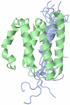 Image NMR Structure - all models