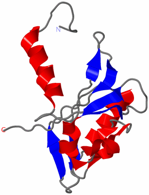 Image NMR Structure - model 1