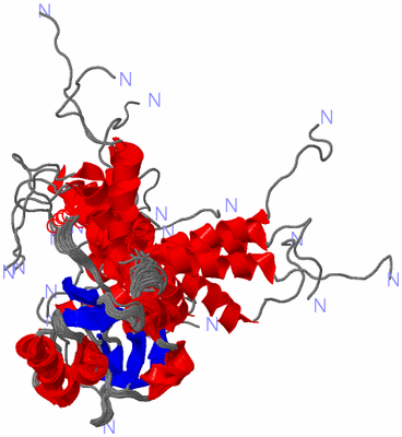 Image NMR Structure - all models