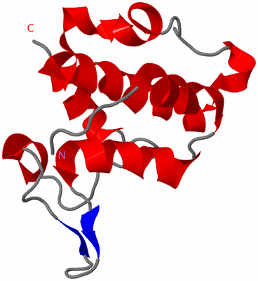 Image NMR Structure - model 1