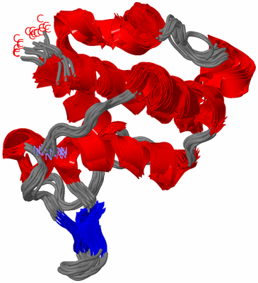 Image NMR Structure - all models