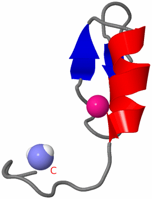 Image NMR Structure - model 1