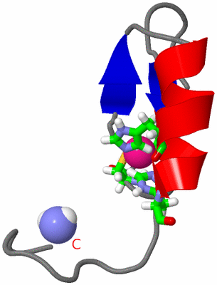 Image NMR Structure - model 1, sites