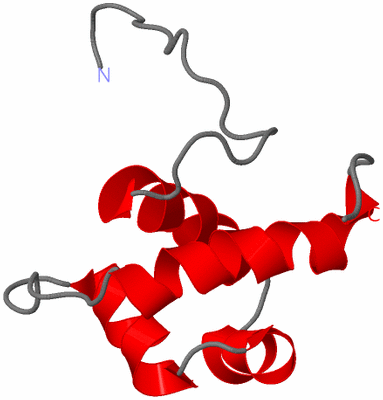 Image NMR Structure - model 1