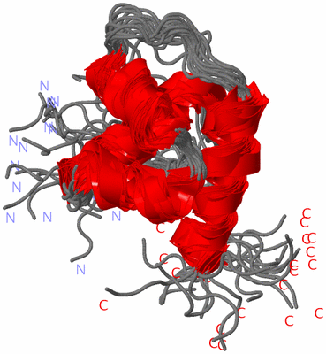 Image NMR Structure - all models