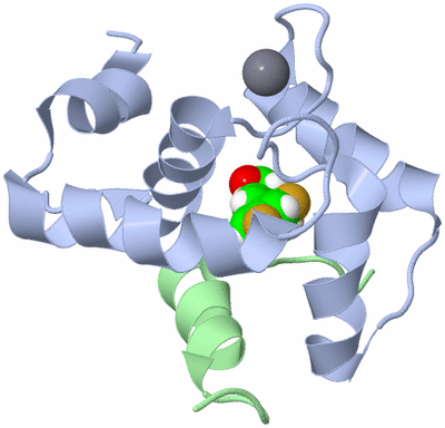 Image NMR Structure - model 1