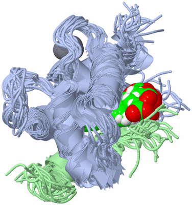 Image NMR Structure - all models