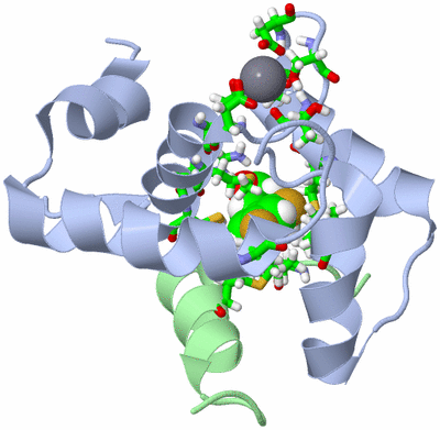 Image NMR Structure - model 1, sites