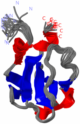 Image NMR Structure - all models