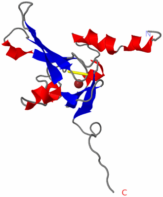 Image NMR Structure - model 1