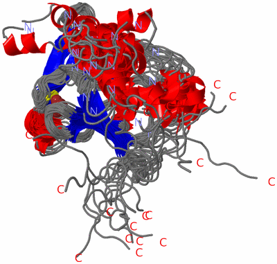 Image NMR Structure - all models