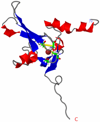 Image NMR Structure - model 1, sites