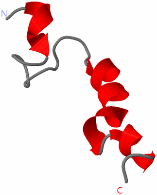 Image NMR Structure - model 1