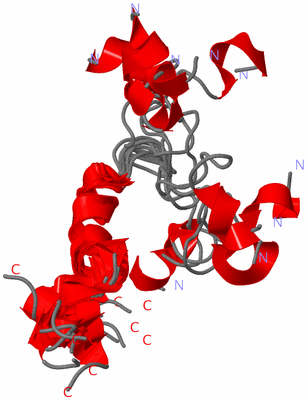 Image NMR Structure - all models