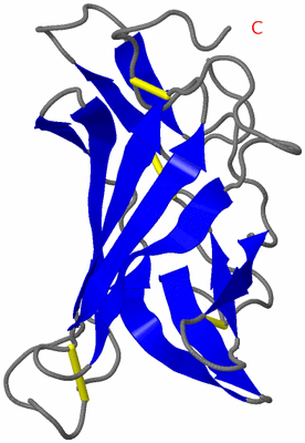 Image NMR Structure - model 1