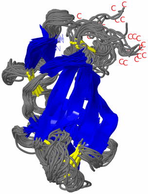 Image NMR Structure - all models