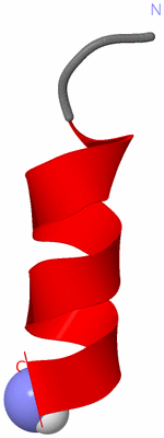 Image NMR Structure - model 1