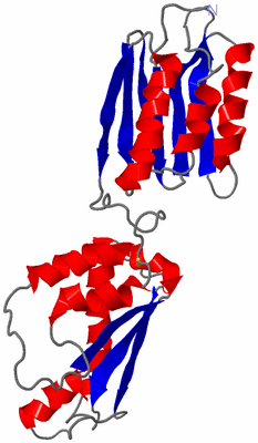 Image NMR Structure - model 1