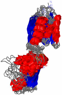 Image NMR Structure - all models