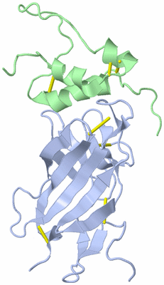 Image NMR Structure - model 1