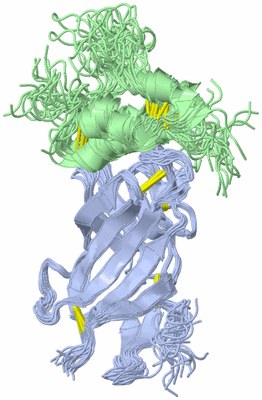 Image NMR Structure - all models