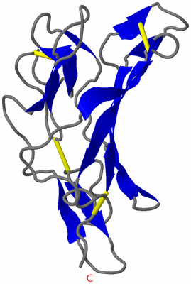 Image NMR Structure - model 1