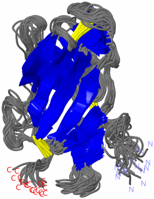 Image NMR Structure - all models