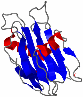 Image NMR Structure - model 1