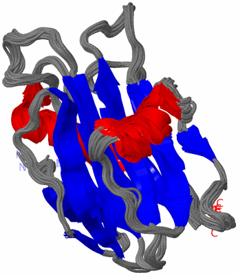 Image NMR Structure - all models