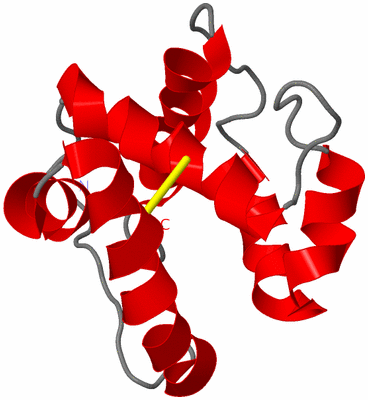 Image NMR Structure - model 1