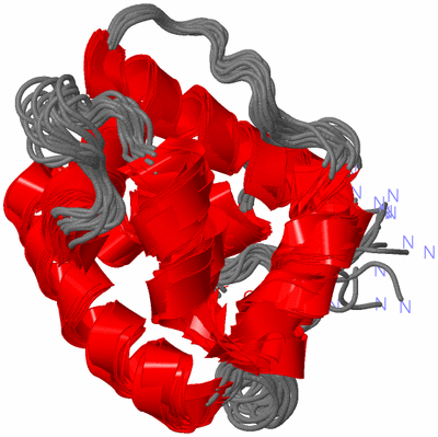 Image NMR Structure - all models