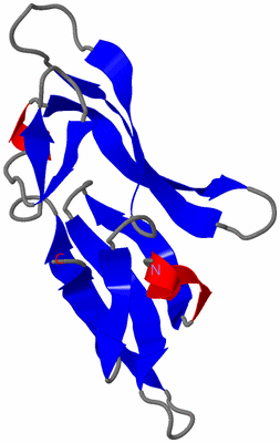 Image NMR Structure - model 1