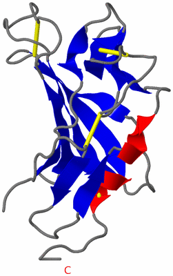 Image NMR Structure - model 1