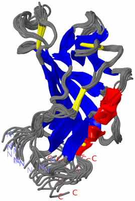 Image NMR Structure - all models